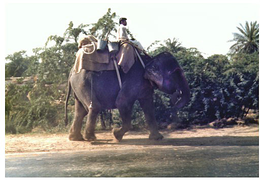 The Grand Truck Road, main road to Delhi with typical transport.