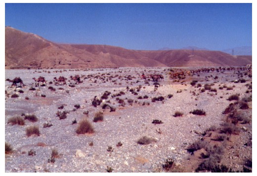 The landscape south of Quetta.